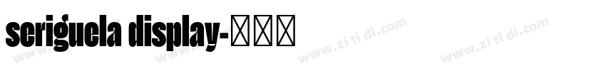 seriguela display字体转换